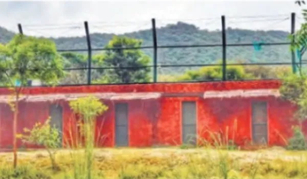 नाहरगढ़ में बाघ के हमले के बाद RO समेत तीन एपीओ
